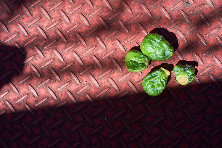 Directly above shot of brussels sprout on diamond plate