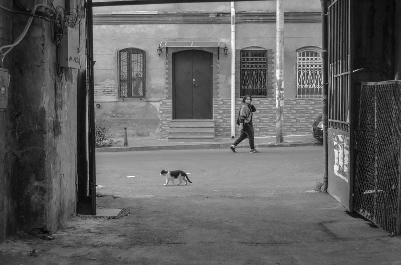 Man walking with dog in building