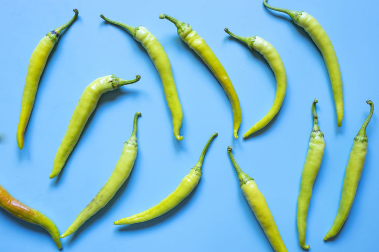Close-up of green chili pepper against blue background