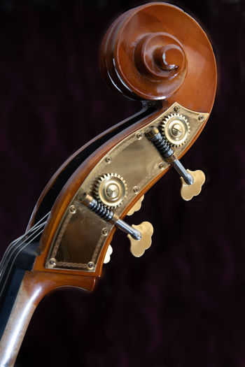 Close-up of double bass headstock against black background