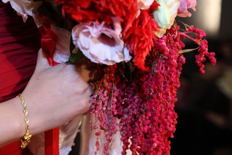 Close-up of hand holding bouquet of red flower