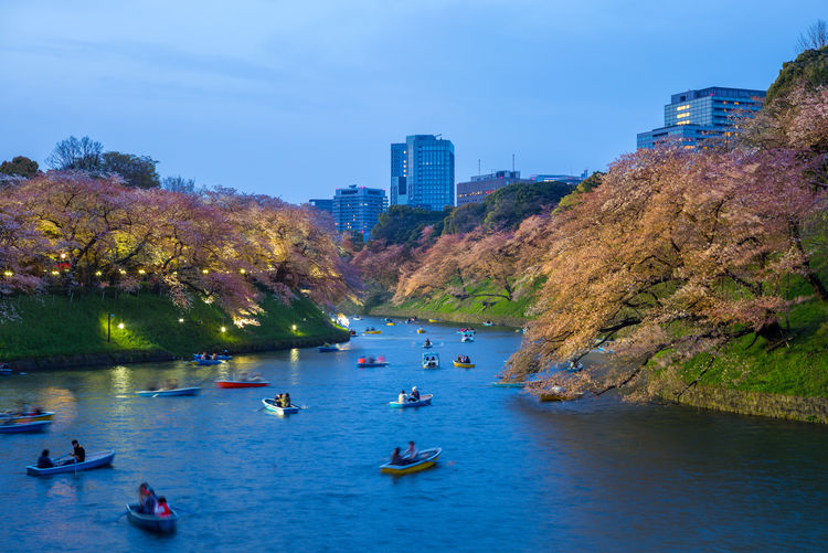 People boating in lake during cherry blossom