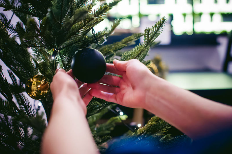 Cropped hands of woman holding christmas tree