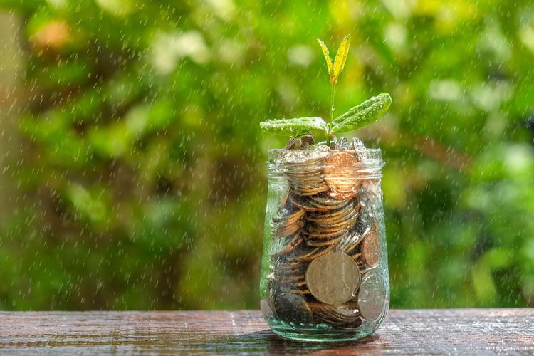 Close-up of coins in glass jar on table at yard during rainy season