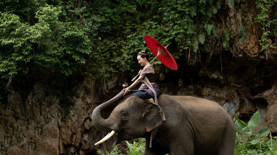 Smiling woman holding umbrella riding on elephant