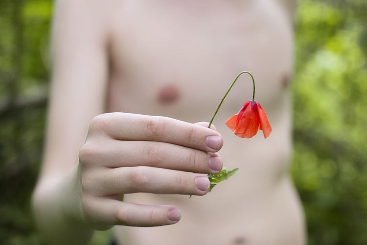 Cropped hand of young boy holding flower