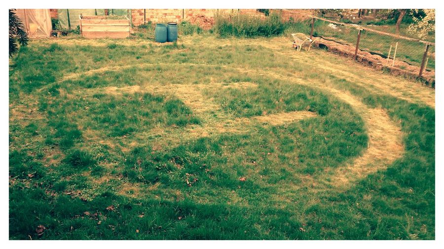 View of grassy field