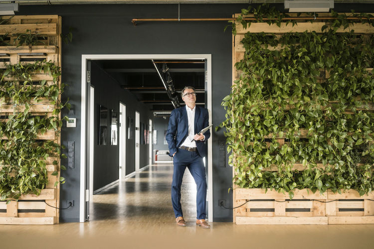 Mature businessman with laptop standing in green office