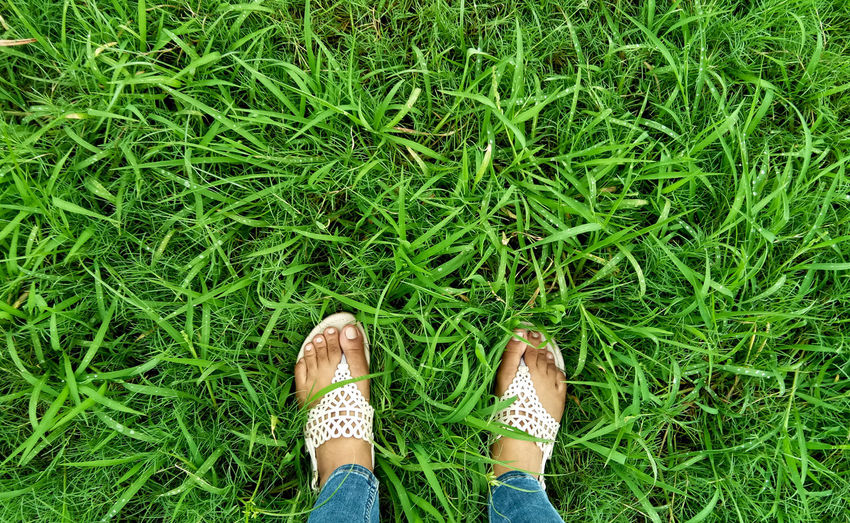 Low section of woman standing on grass