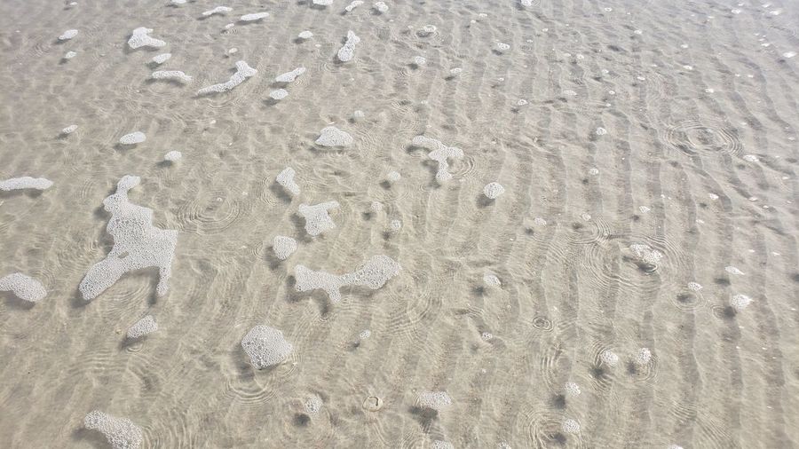 High angle view of footprints on beach