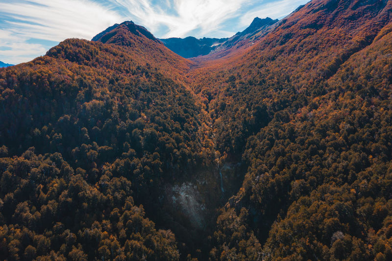Autumn in patagonia