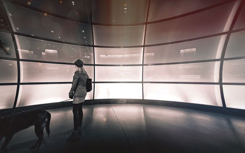 Rear view of woman with dog standing in modern building