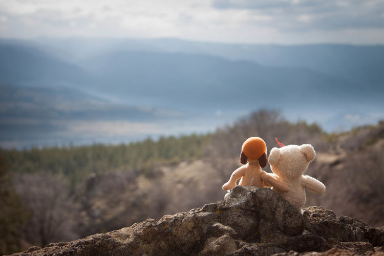 Stuffed toys overlooking countryside landscape