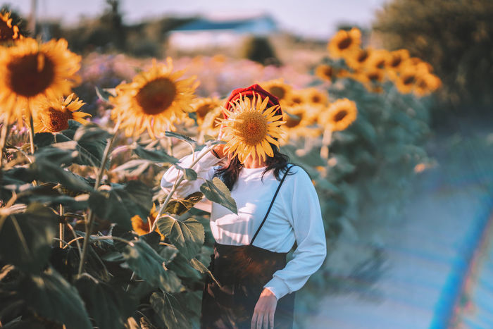 Woman covering face with sunflower on field
