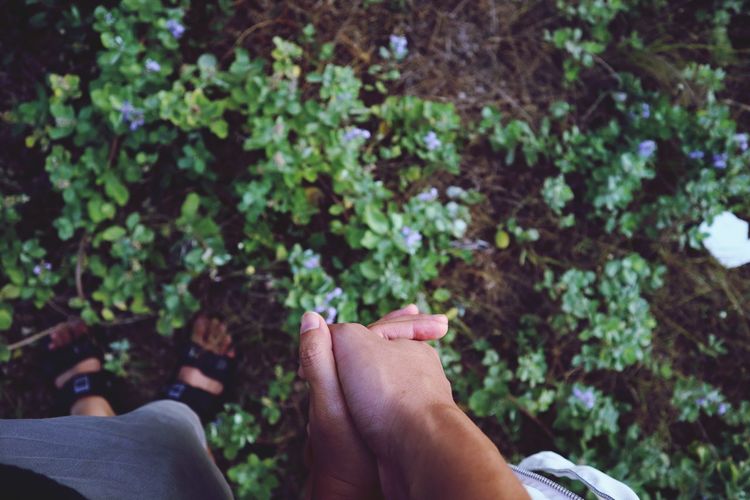 Midsection of person holding plant