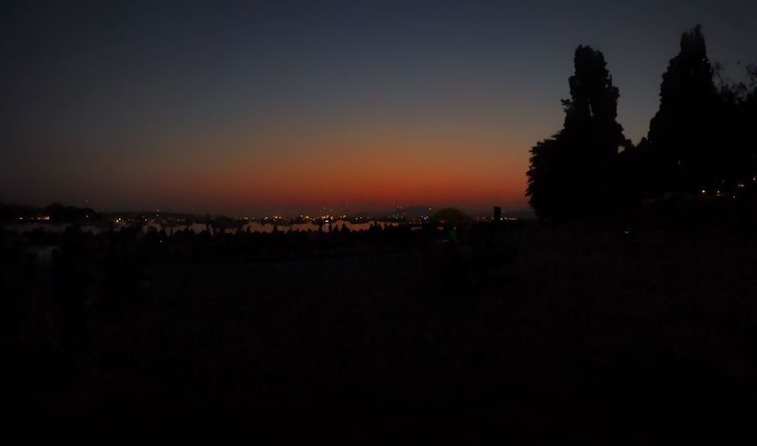 Silhouette trees against clear sky at sunset