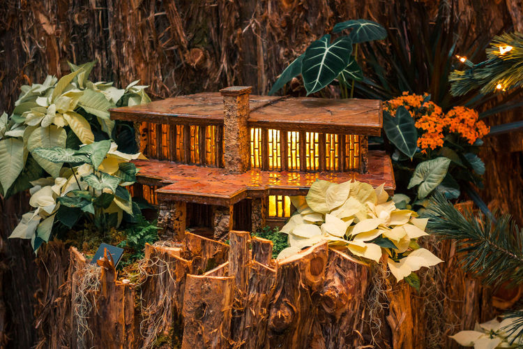Horticultural model of the meyer may house in grand rapids michigan
