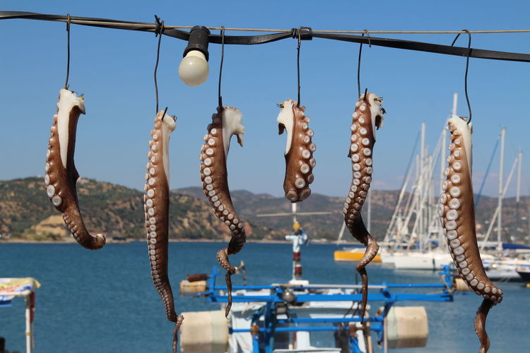 Close-up of fishing net hanging on sea against clear sky