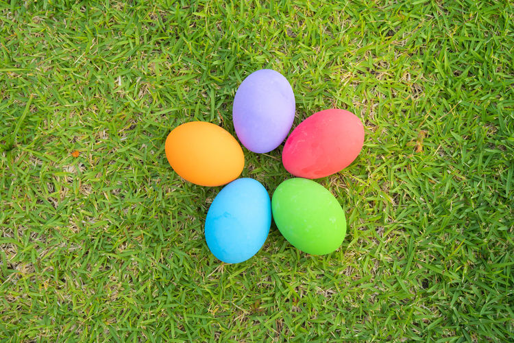 High angle view of easter eggs on grassy field