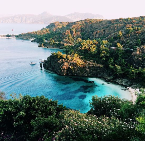 High angle view of trees by sea against sky