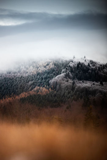 Scenic view of mountain