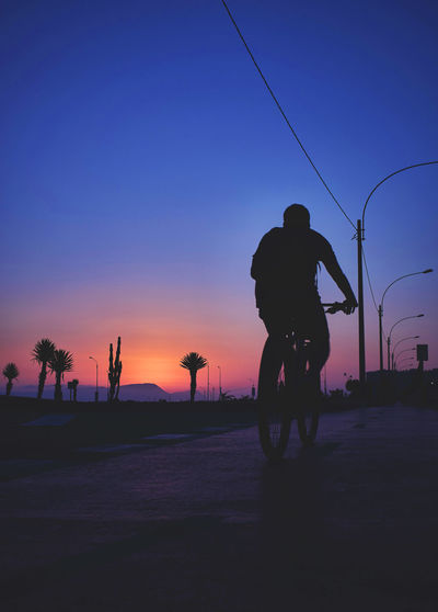 Rear view of silhouette man riding bicycle against sky during sunset