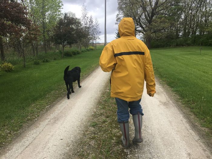 Rear view of man walking with dog on road