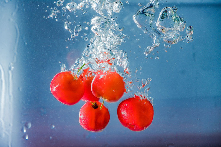 Close-up of red berries floating on water
