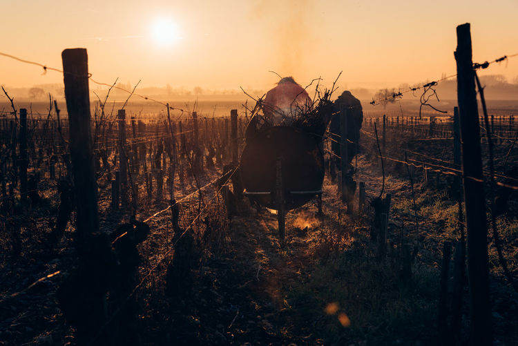 Wheelbarrow amidst fence and dry plants against sky during sunset