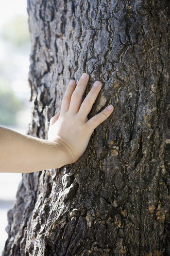 Girls hand on tree bark, close-up