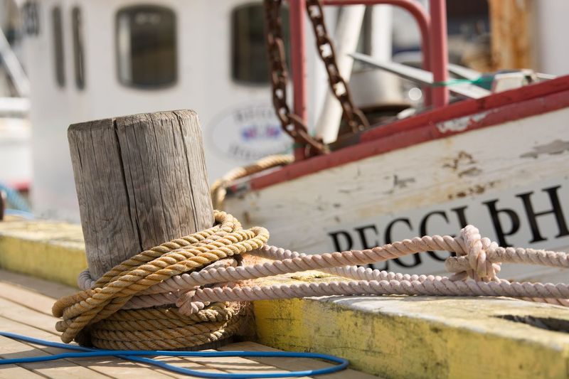 Close-up of rope tied on wood