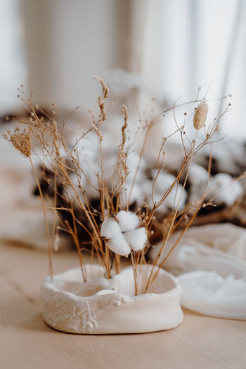 Close-up of white dried flowers on table