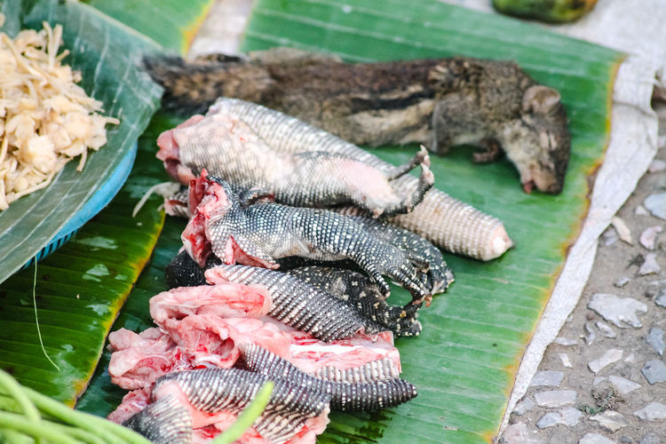 High angle view of bushmeat sold in the luang prabang morning market
