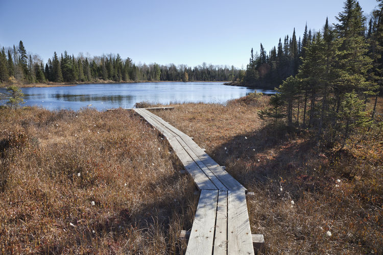 Scenic view of lake in forest against sky