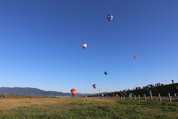 Hot air balloons flying over field against clear blue sky