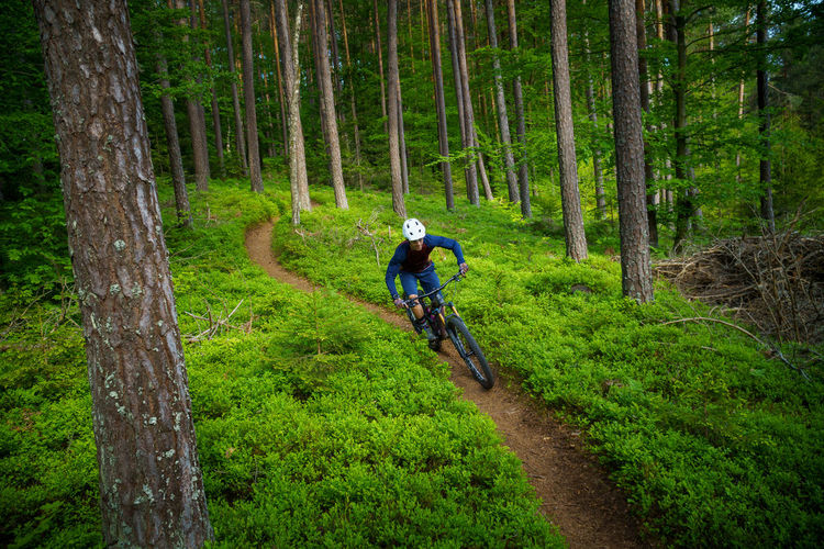 A young man riding a mountain bike on a singletrail in the forest  near klagenfurt, austria.