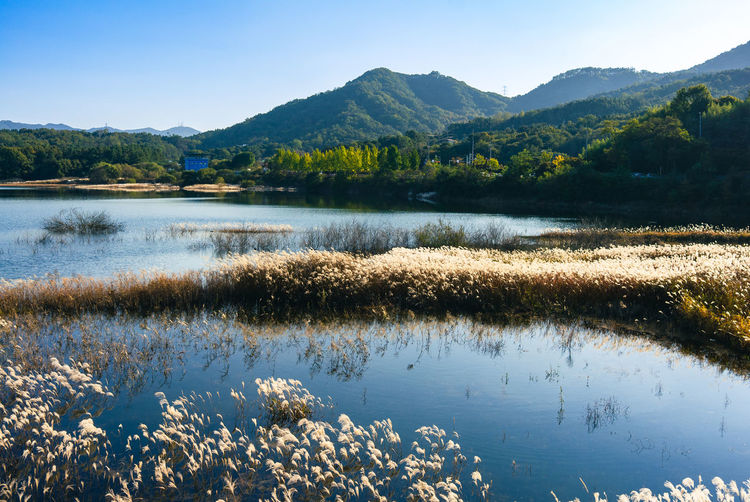 Daecheong lake on a dazzling sunny day