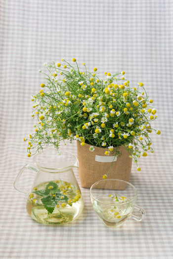 Close-up of drinks with flowers on table