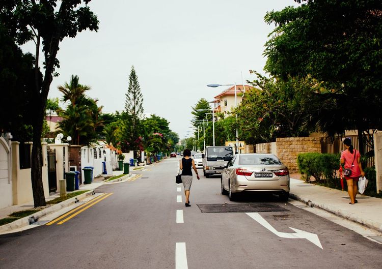 People walking on road