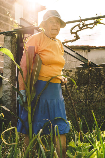 Woman and corn in the garden