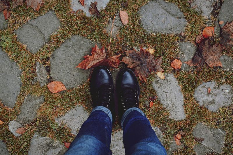 Low section of person standing on autumn leaves