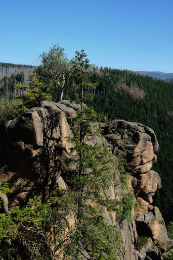 Rock formations on landscape against clear sky