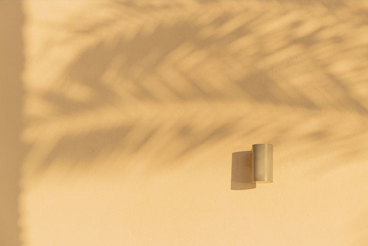 Shadows from palm trees on the light walls of a building with a lamp. sunny day, travel lifestyle.