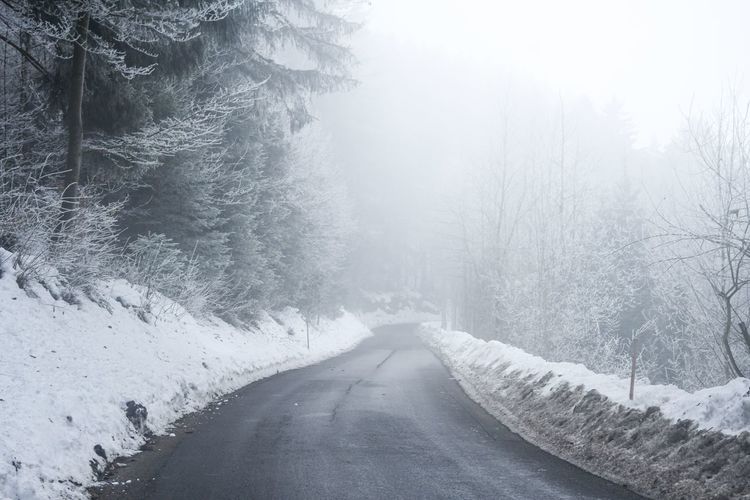 Scenic view of snow covered landscape