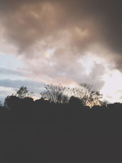 Low angle view of silhouette trees against sky at sunset