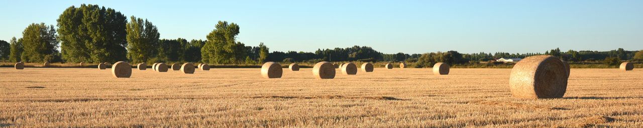 Panoramic shot of hay bales on field against sky