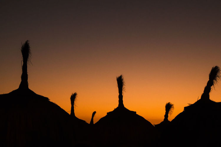 Silhouette plants against clear sky during sunset