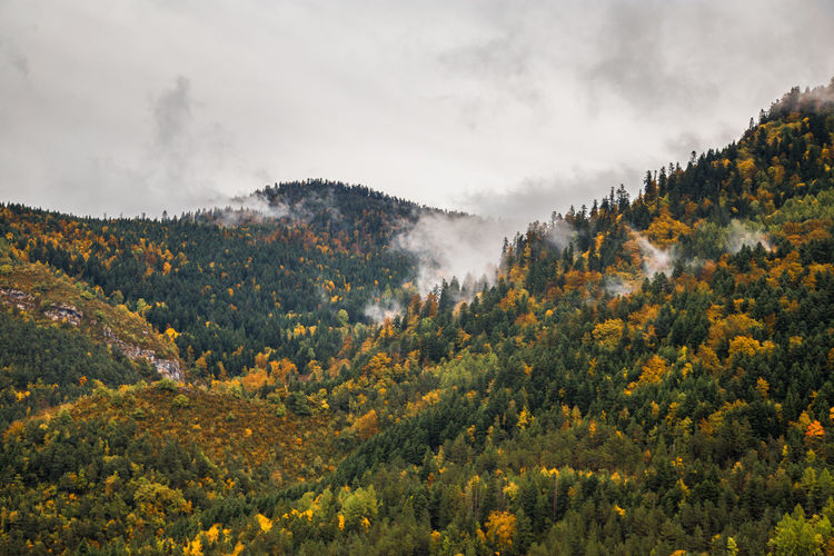 Scenic view of tree mountains against sky