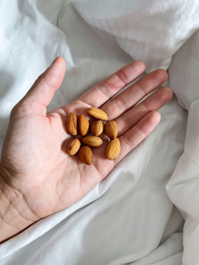 Hand holding raw almonds
