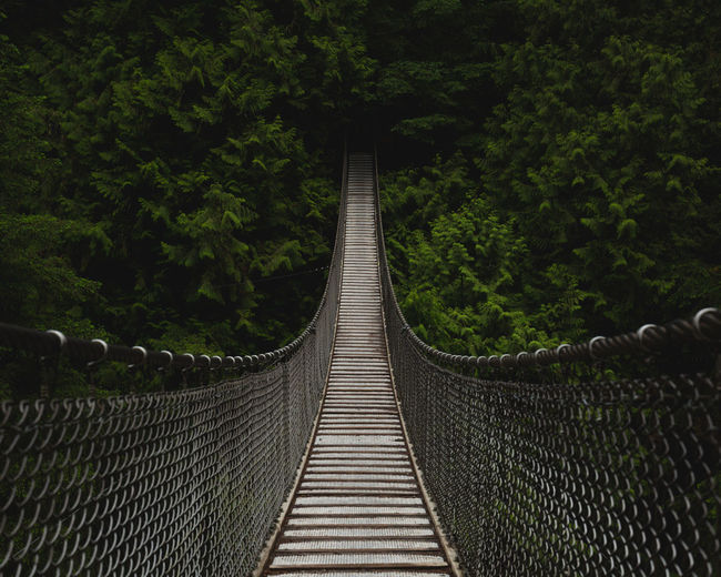 Empty footbridge against trees in forest